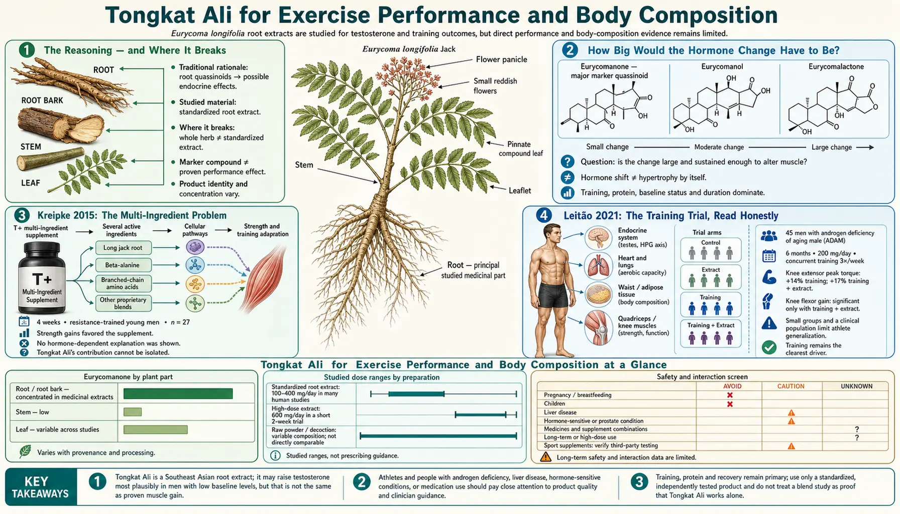 Exercise Performance and Body Composition — scientific infographic poster