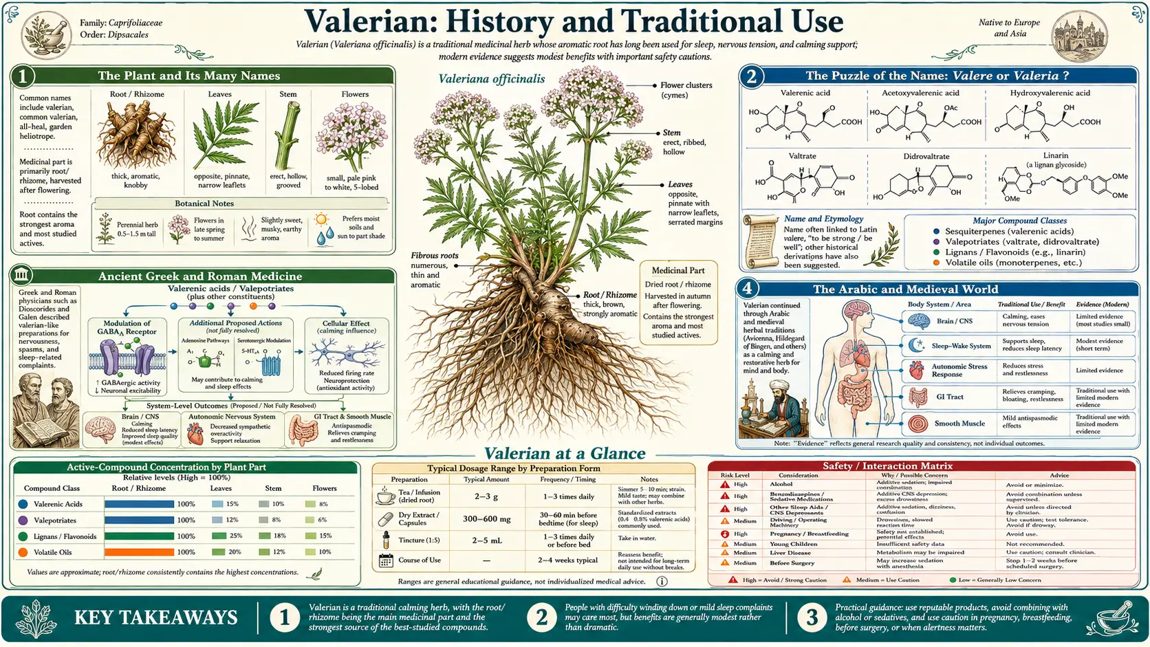 History — scientific infographic poster