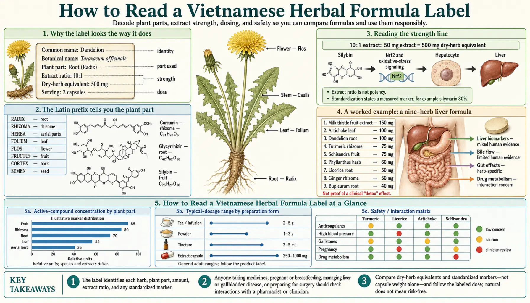 Vietnamese Herbal Formulas — scientific infographic poster