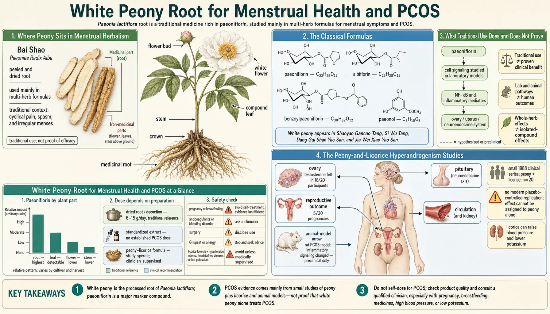 Menstrual Health and PCOS — scientific infographic poster