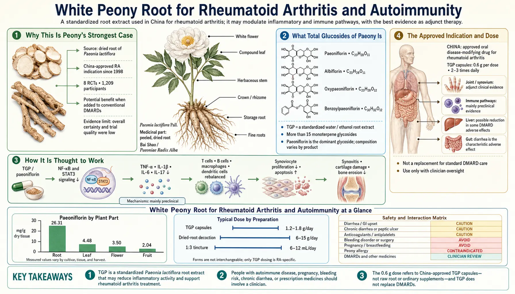 Rheumatoid Arthritis and Autoimmunity — scientific infographic poster