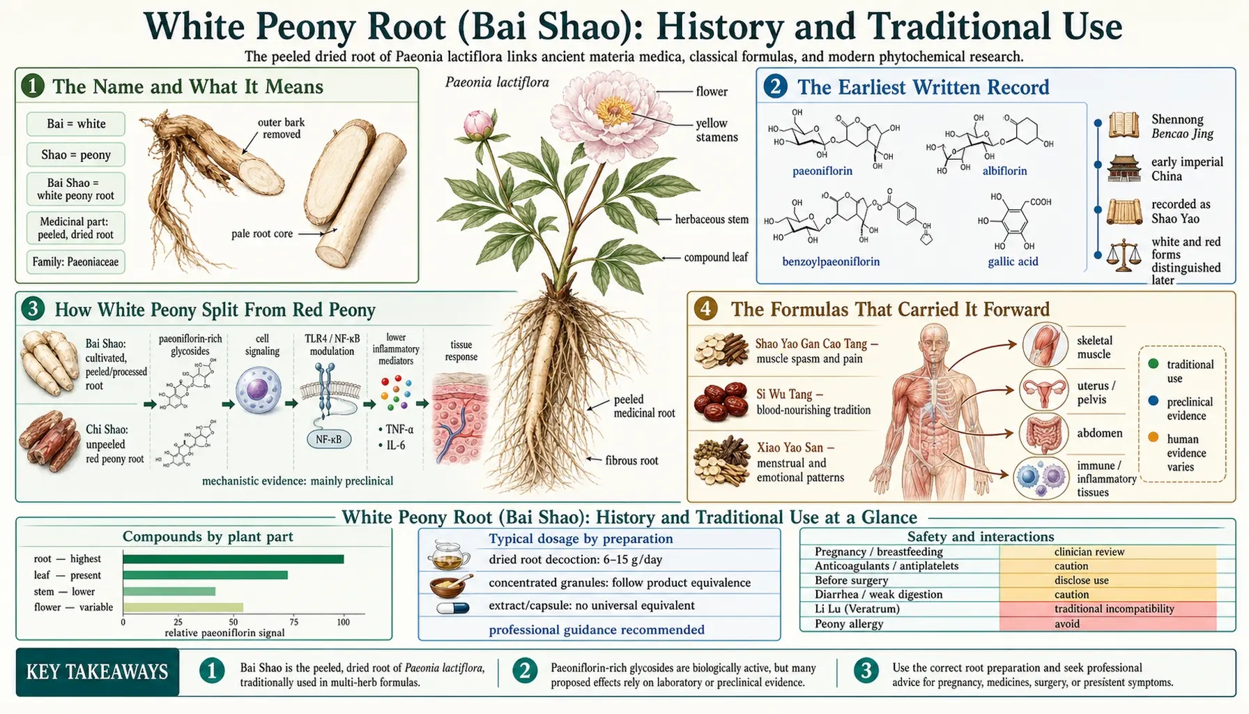 History — scientific infographic poster