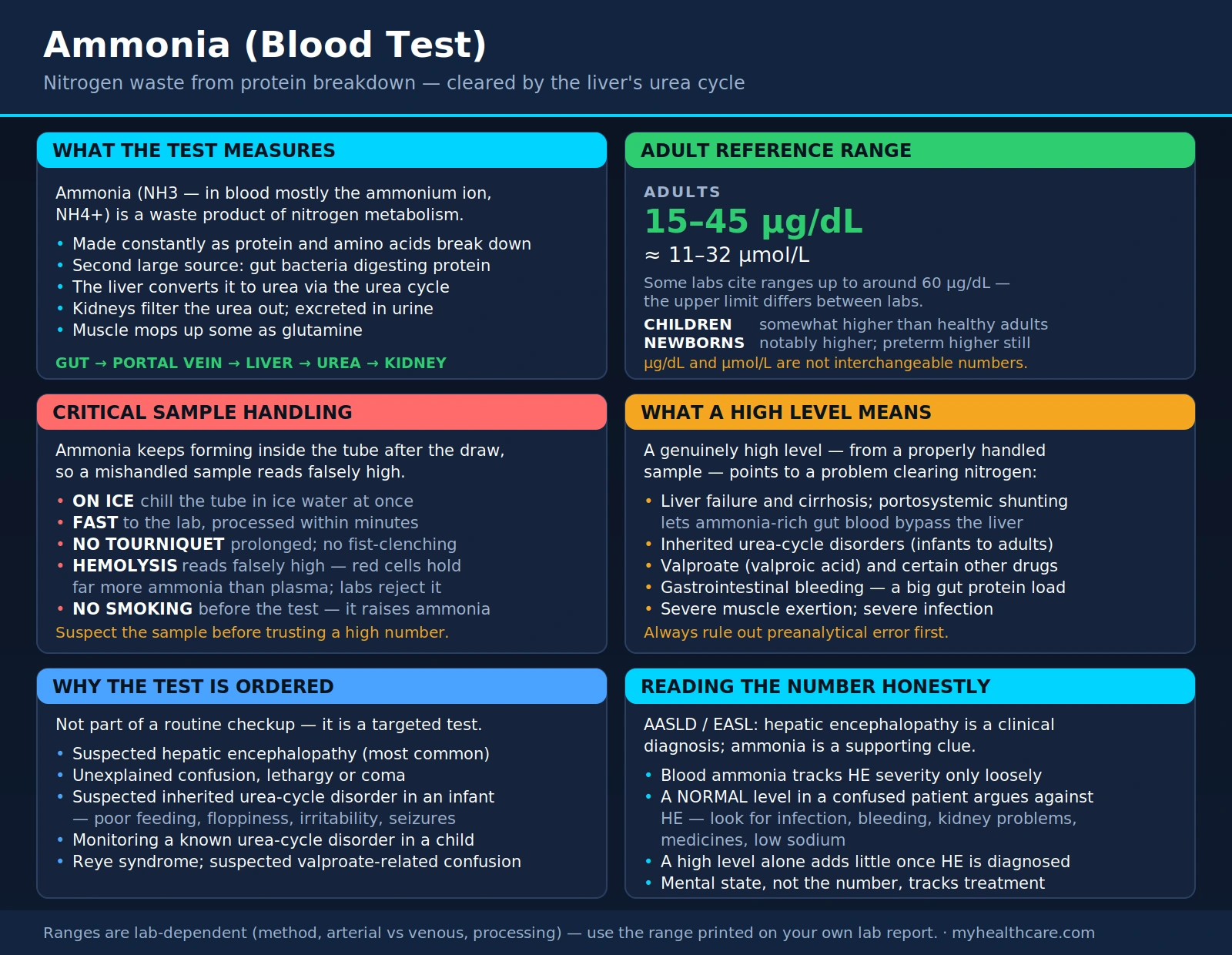 Ammonia — scientific infographic poster