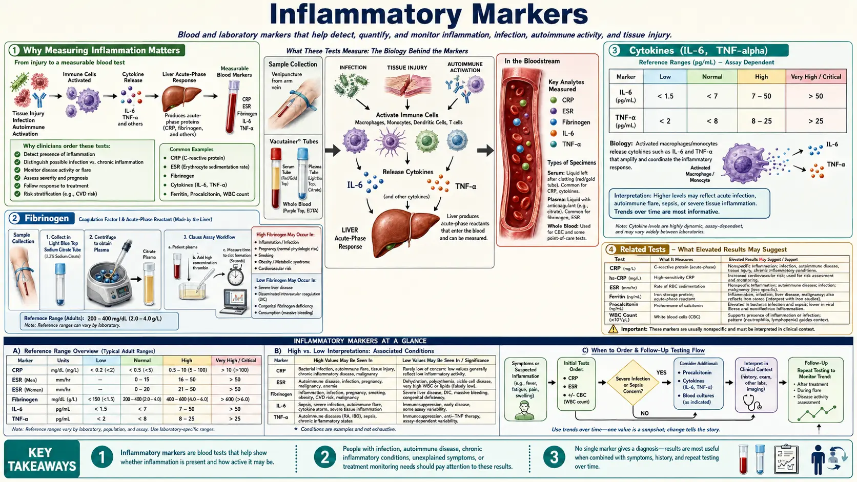 Inflammatory Markers — scientific infographic poster