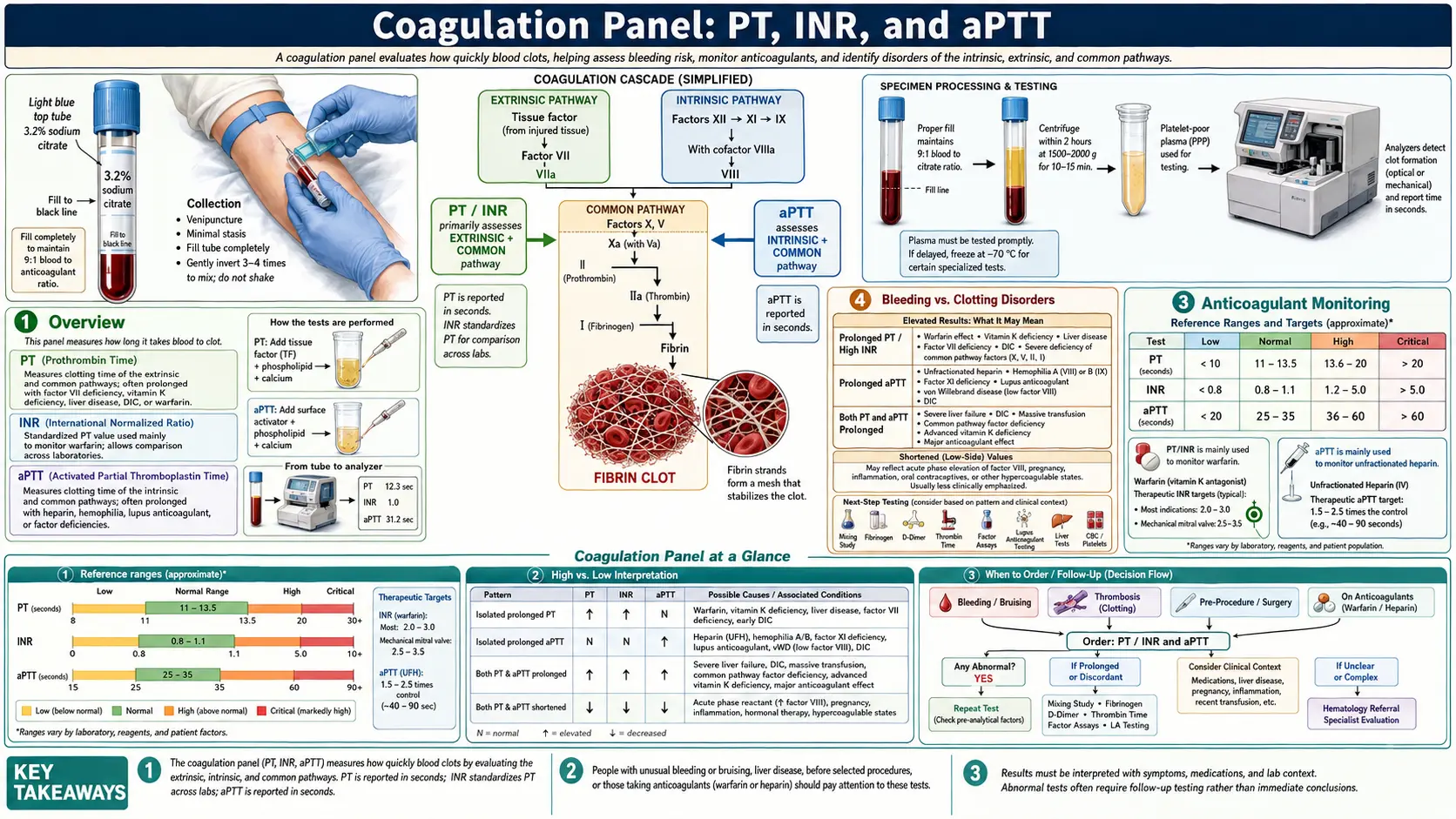 Coagulation Panel — scientific infographic poster