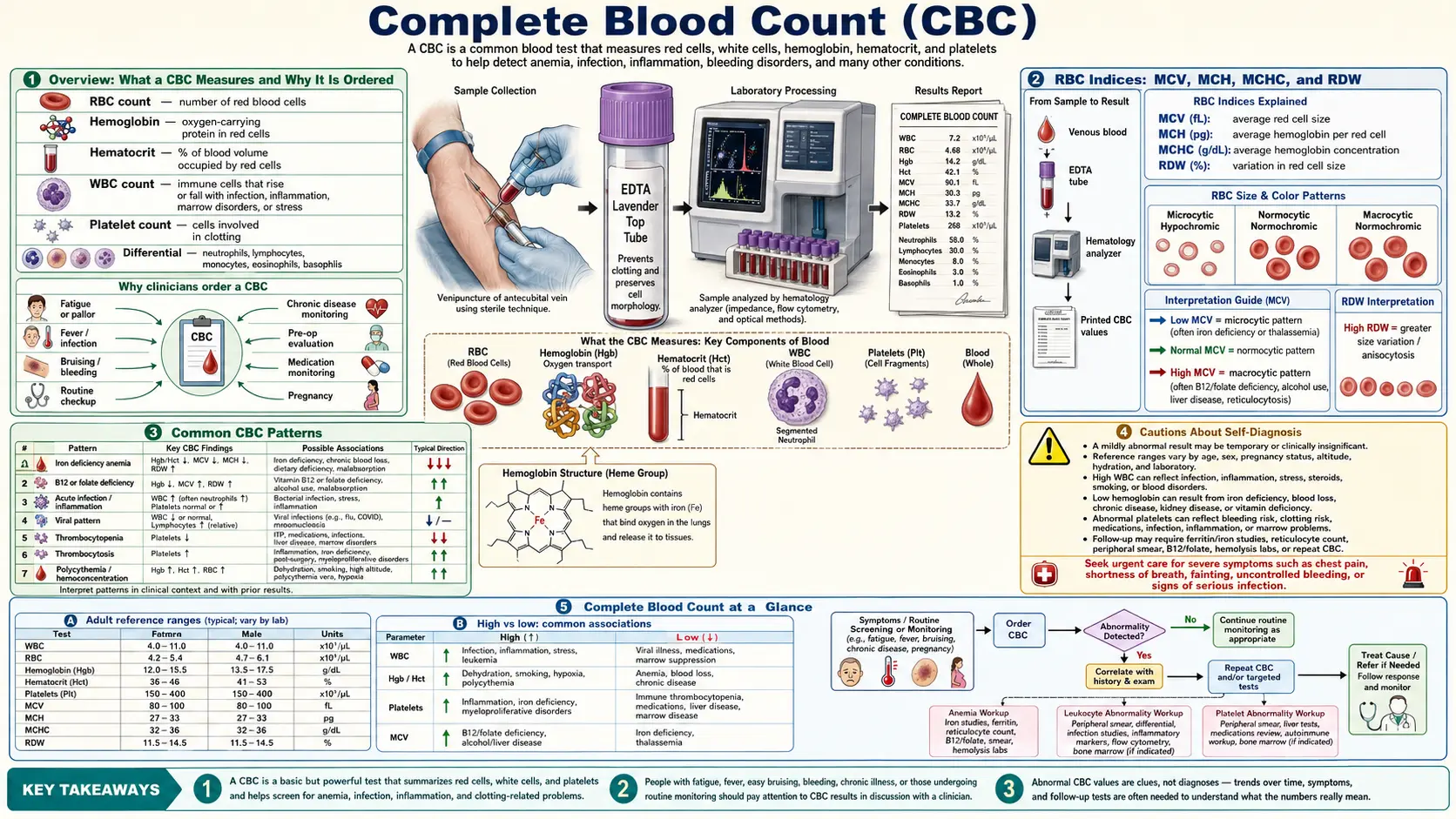 Complete Blood Count — scientific infographic poster