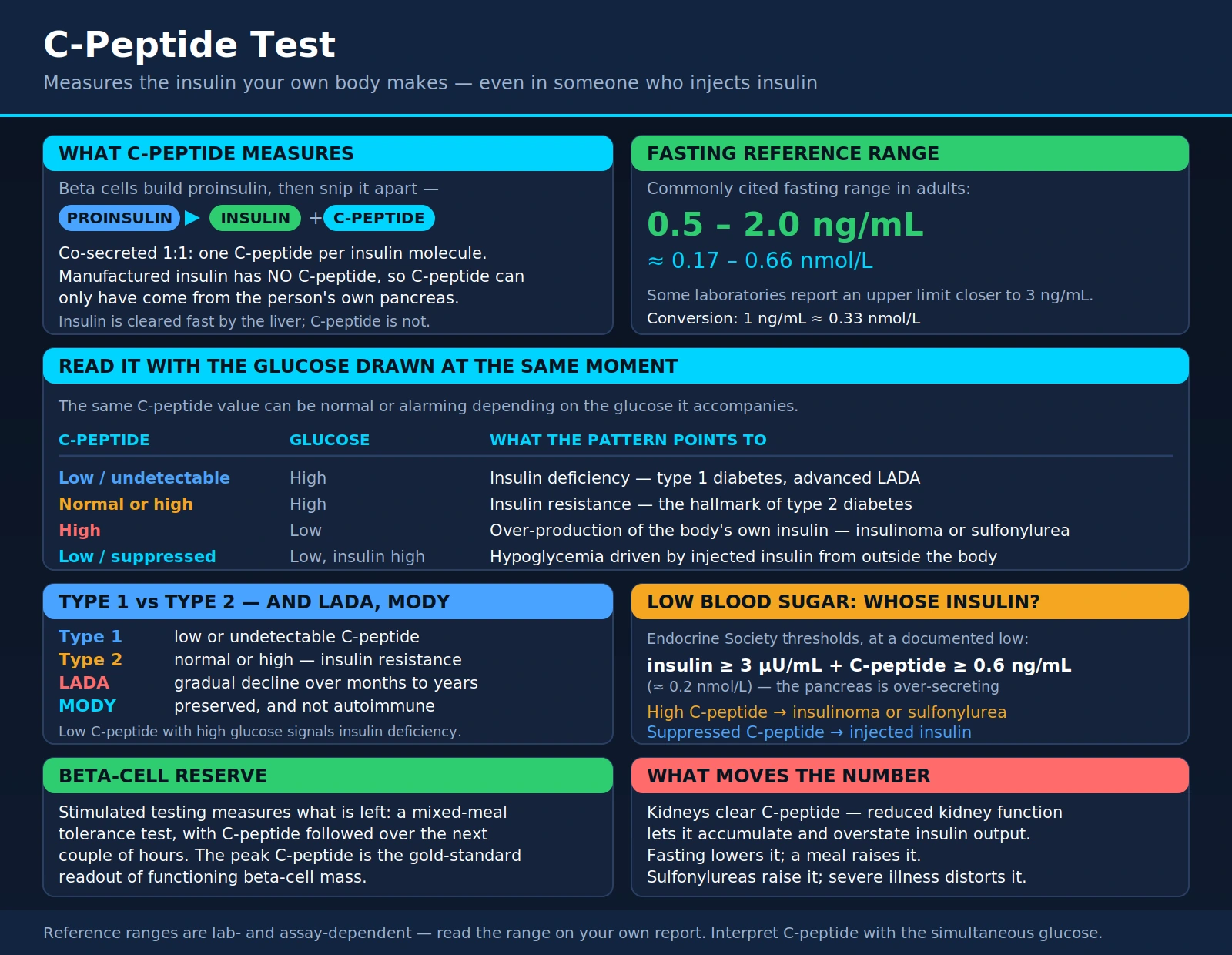 C Peptide — scientific infographic poster