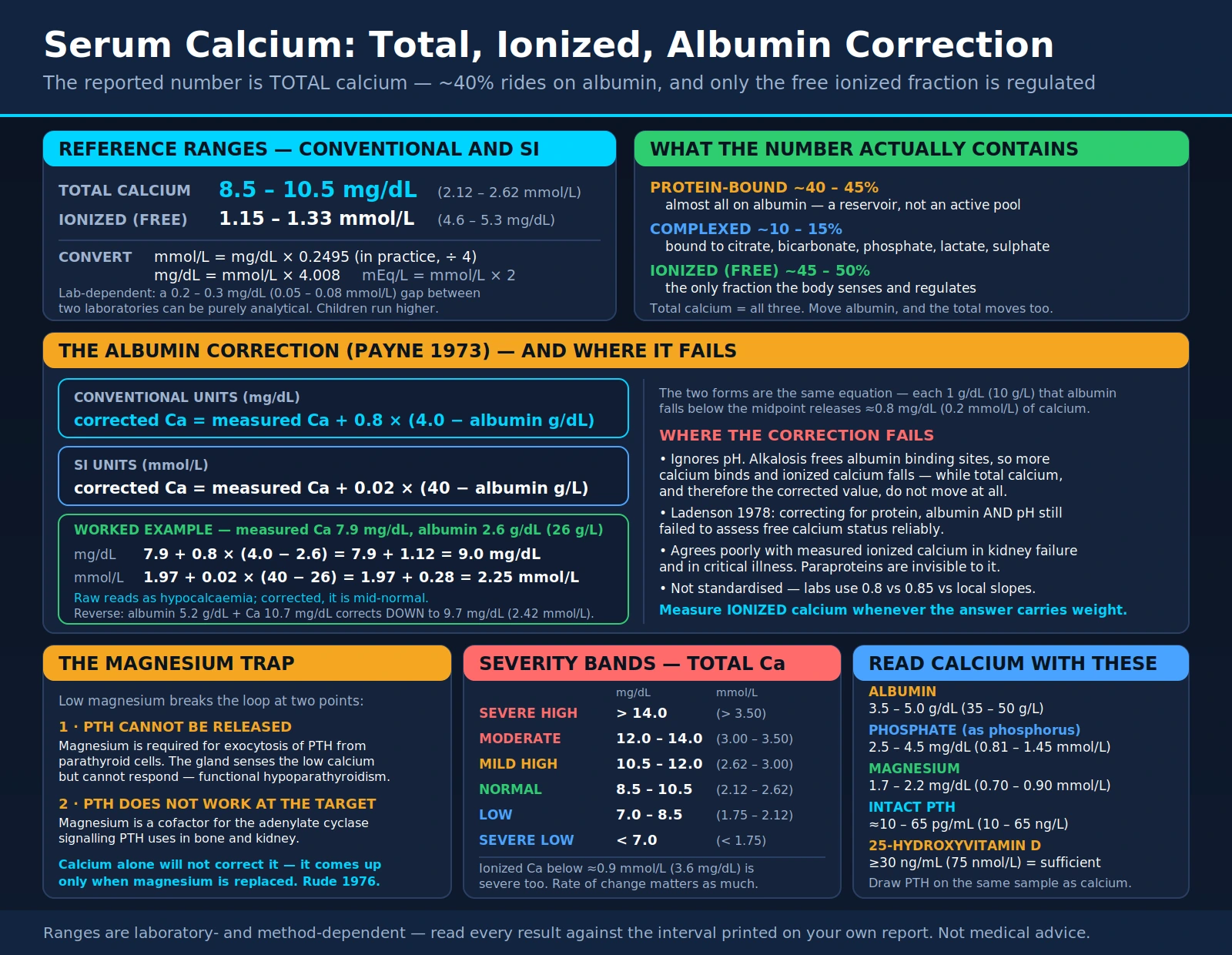 Calcium — scientific infographic poster