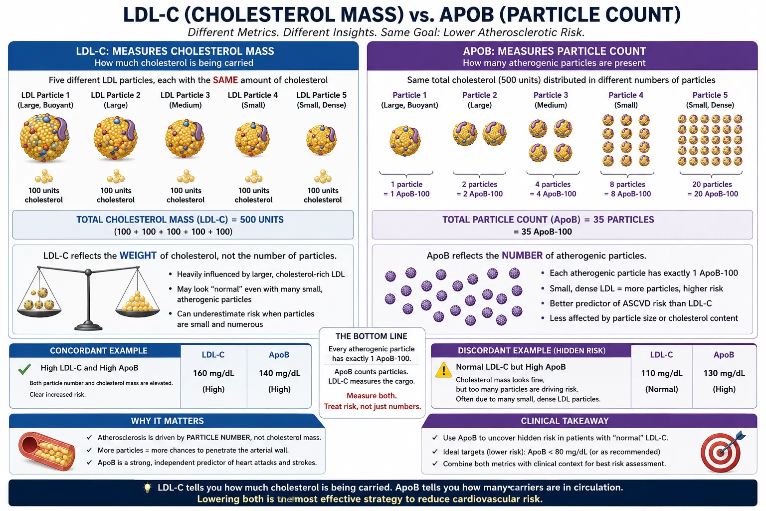 ApoB versus LDL-C particle count comparison