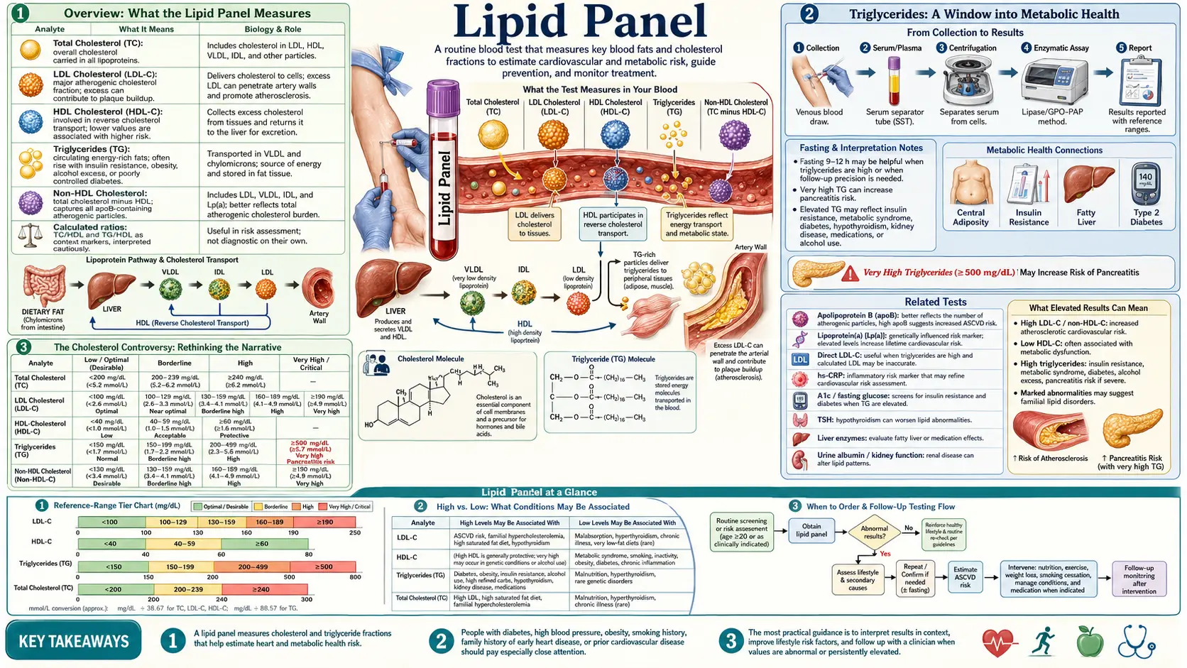 Lipid Panel — scientific infographic poster