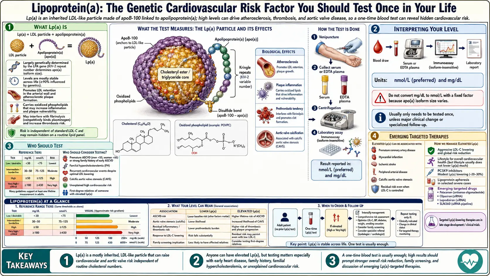 Lipoprotein a — scientific infographic poster