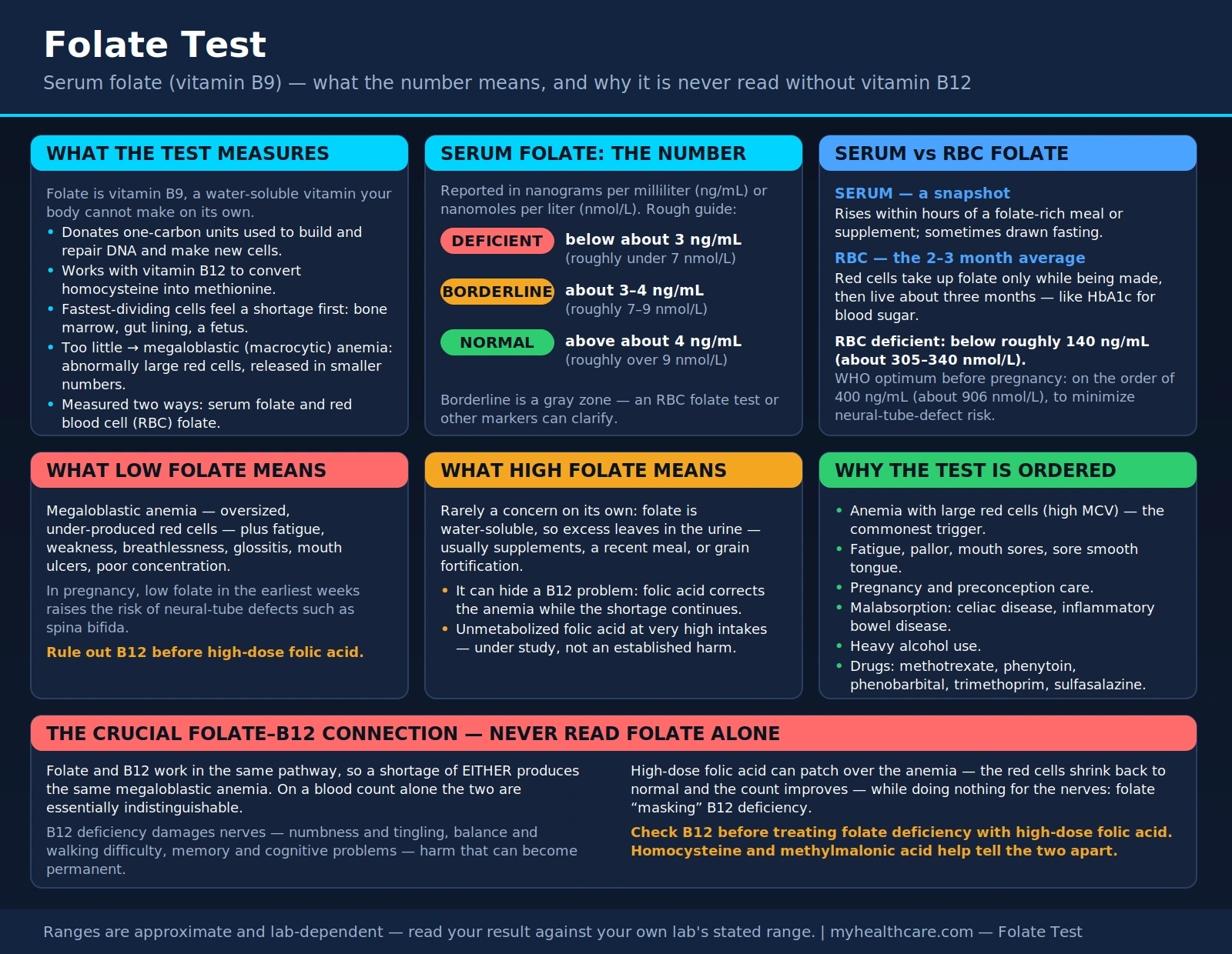 Folate — scientific infographic poster