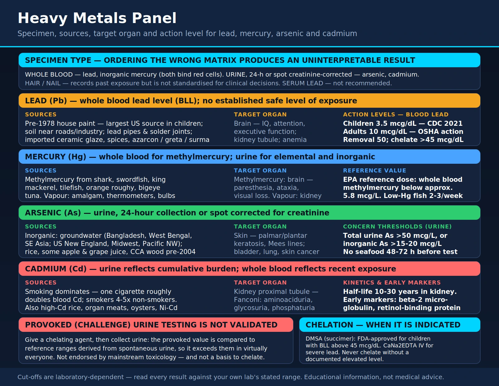Heavy Metals Panel — scientific infographic poster
