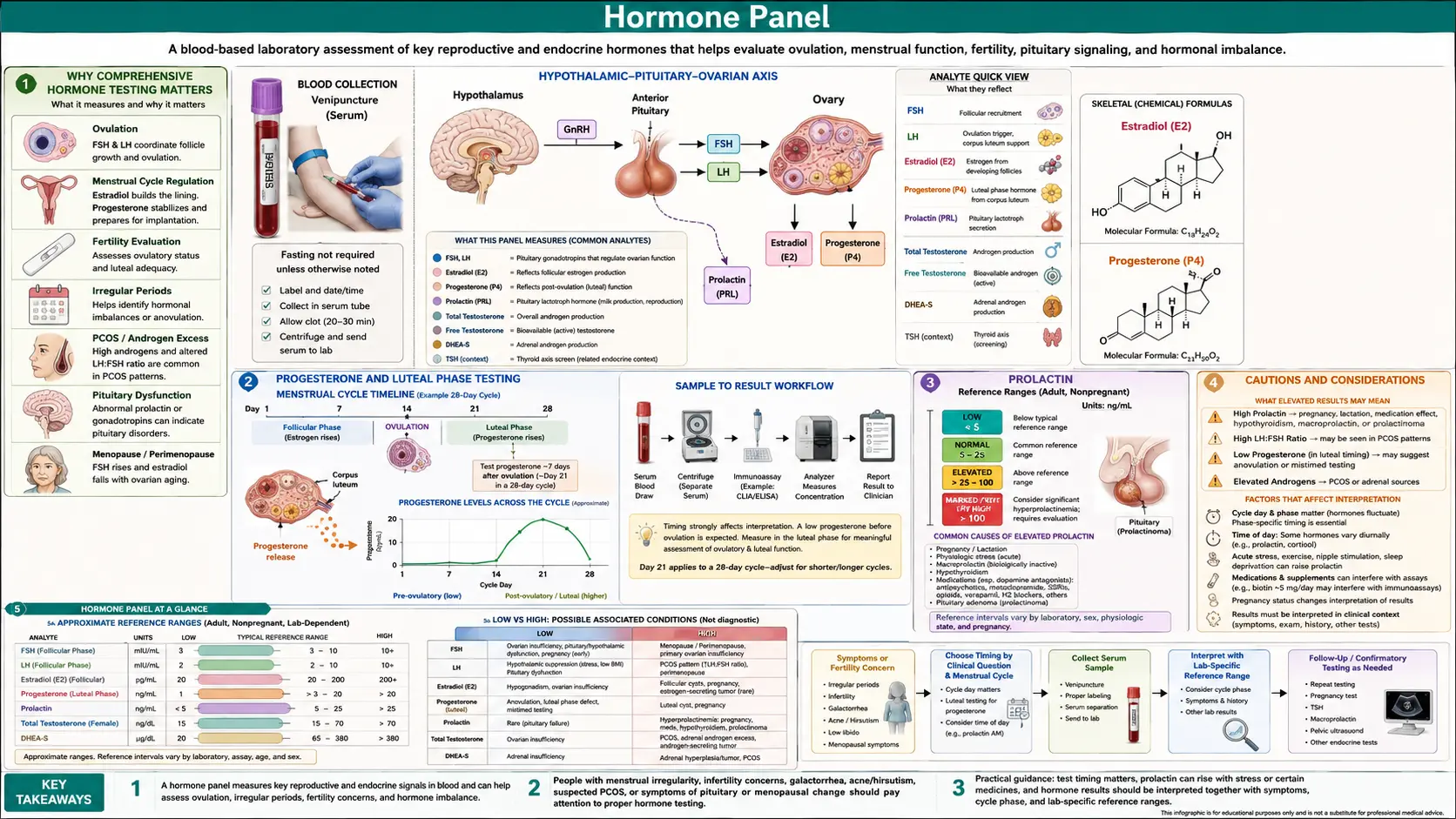 Hormone Panel — scientific infographic poster