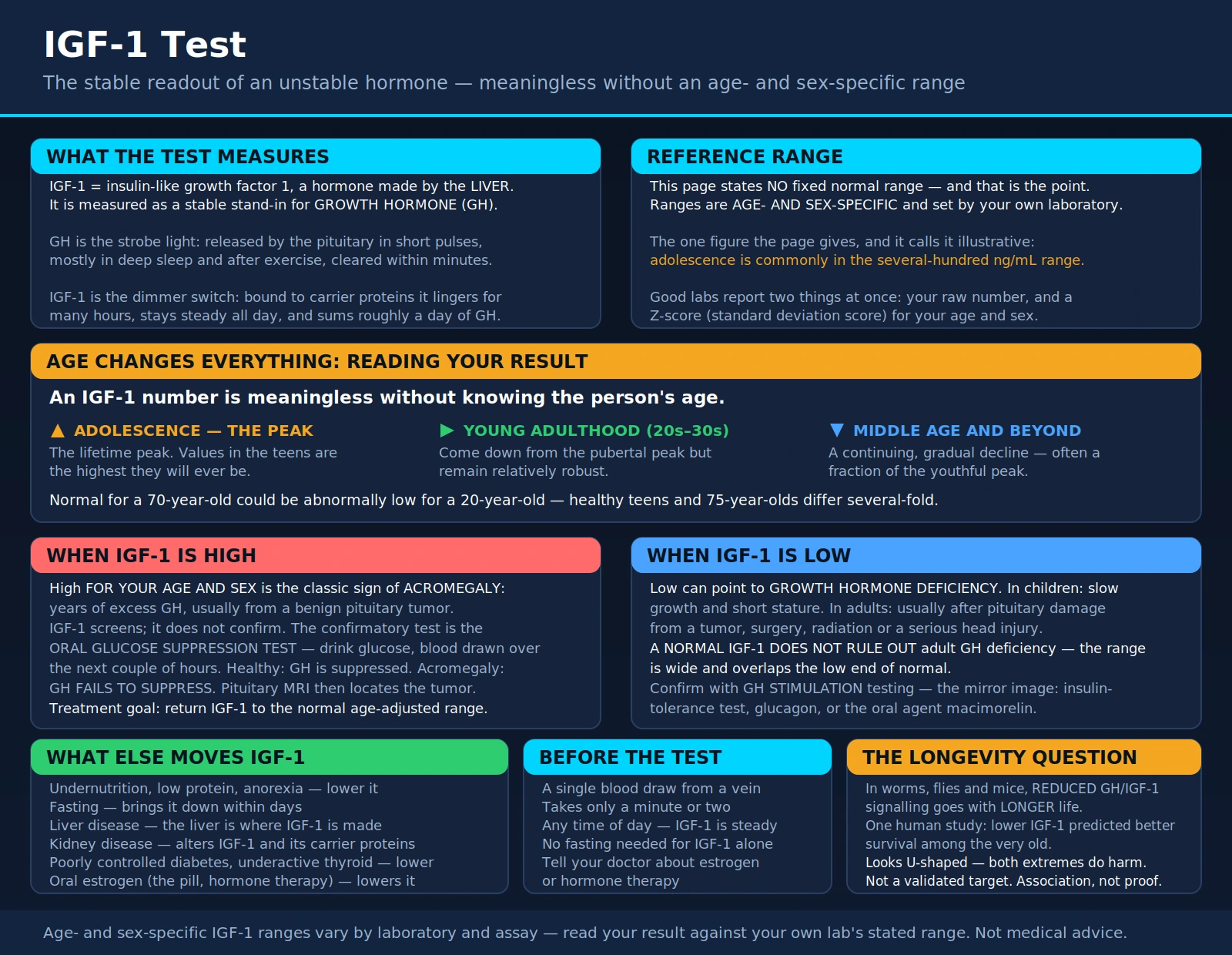 IGF 1 — scientific infographic poster