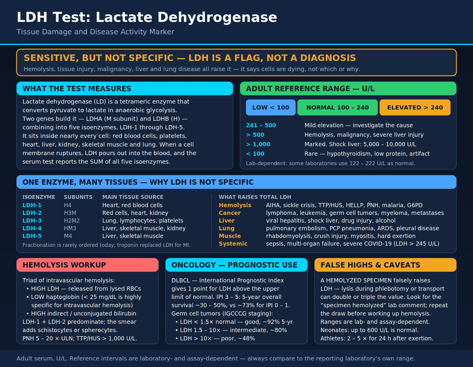 LDH — scientific infographic poster