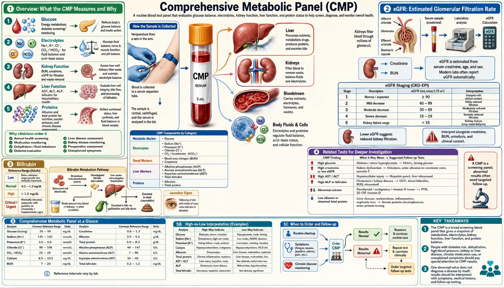 Comprehensive Metabolic Panel — scientific infographic poster