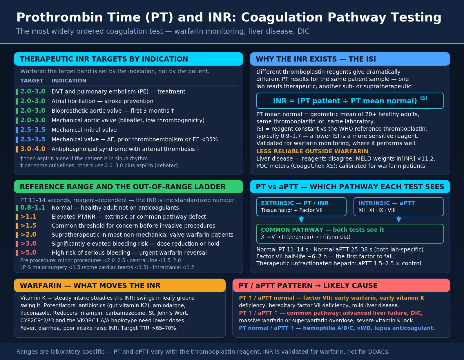 Prothrombin Time (PT) and INR — scientific infographic poster