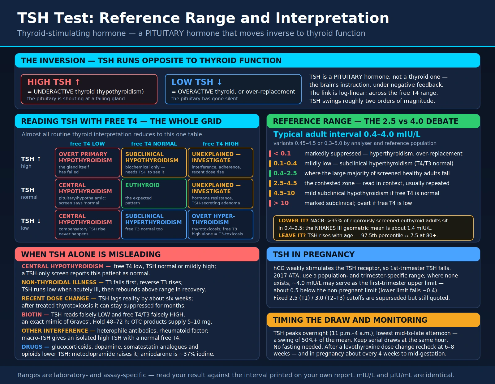 TSH — scientific infographic poster