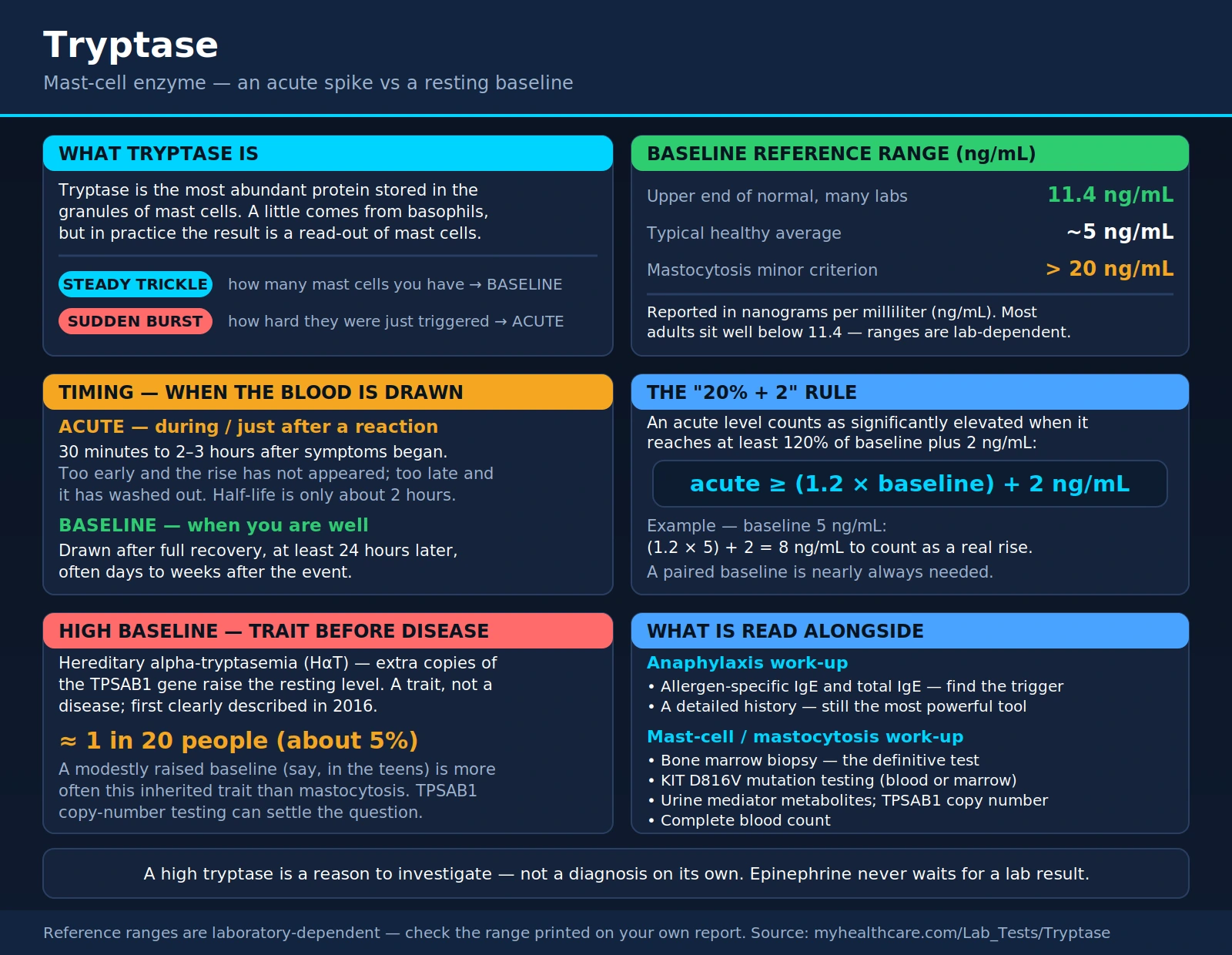 Tryptase — scientific infographic poster