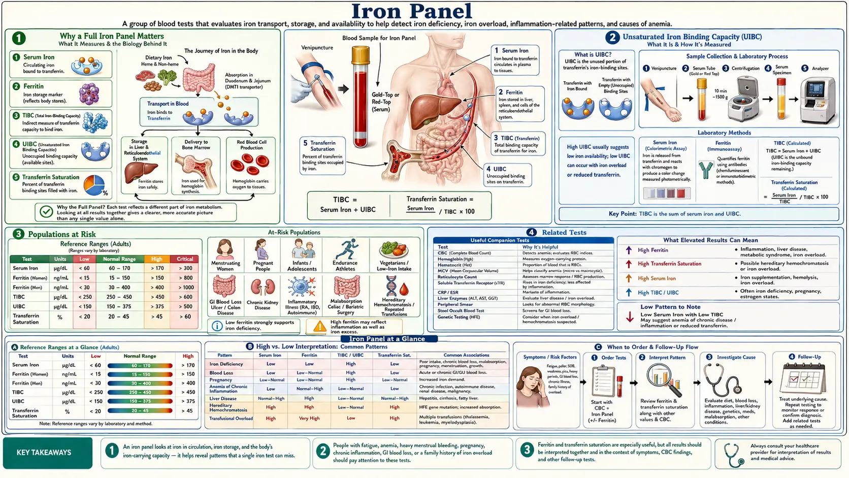 Iron Panel — scientific infographic poster