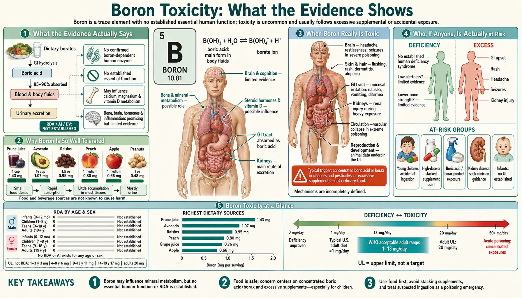 Toxicity — scientific infographic poster