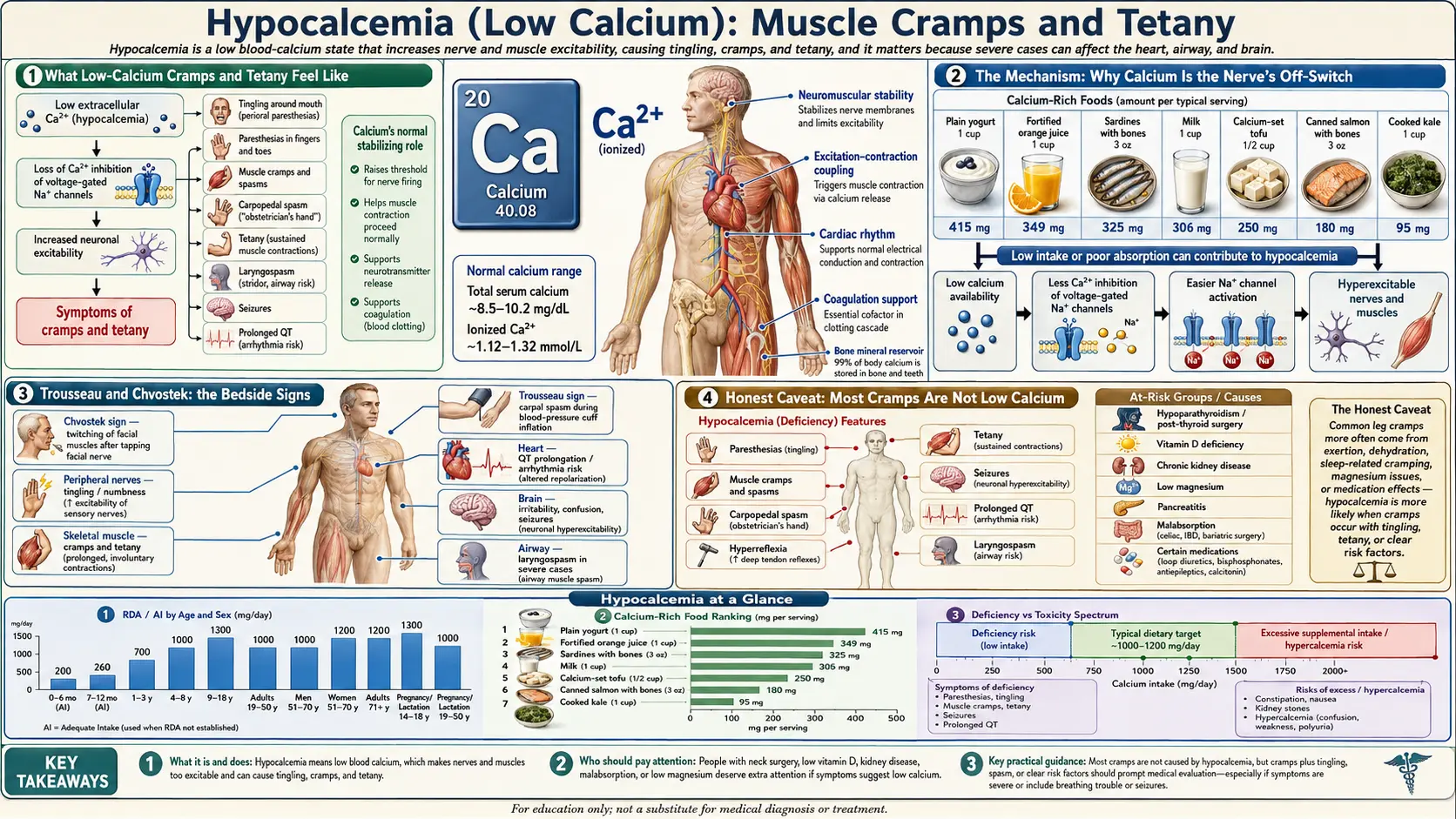 Muscle Cramps and Tetany — scientific infographic poster