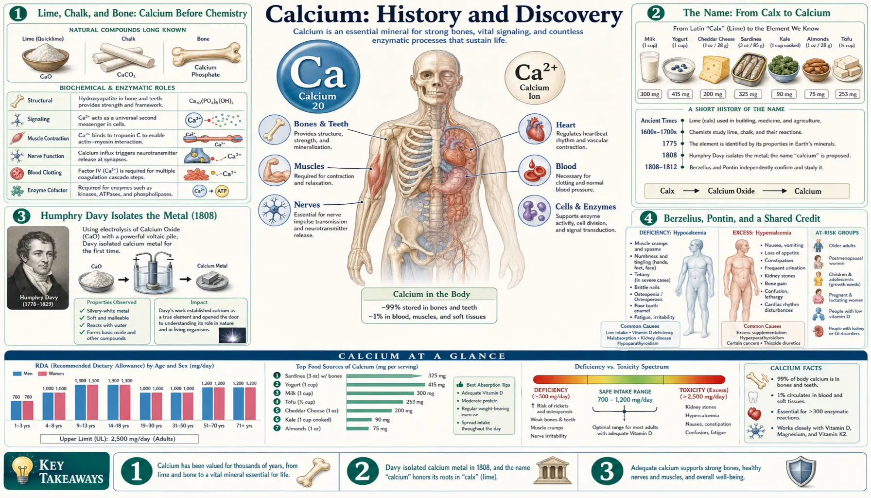 History — scientific infographic poster