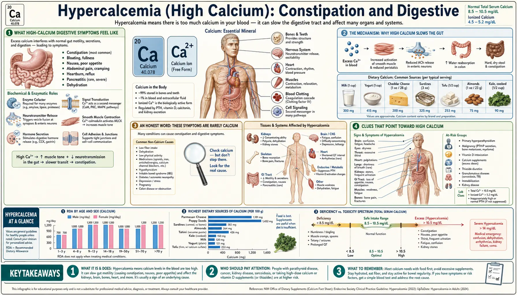 Constipation and Digestive — scientific infographic poster