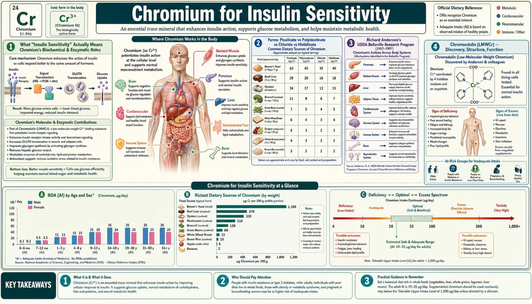Insulin Sensitivity — scientific infographic poster