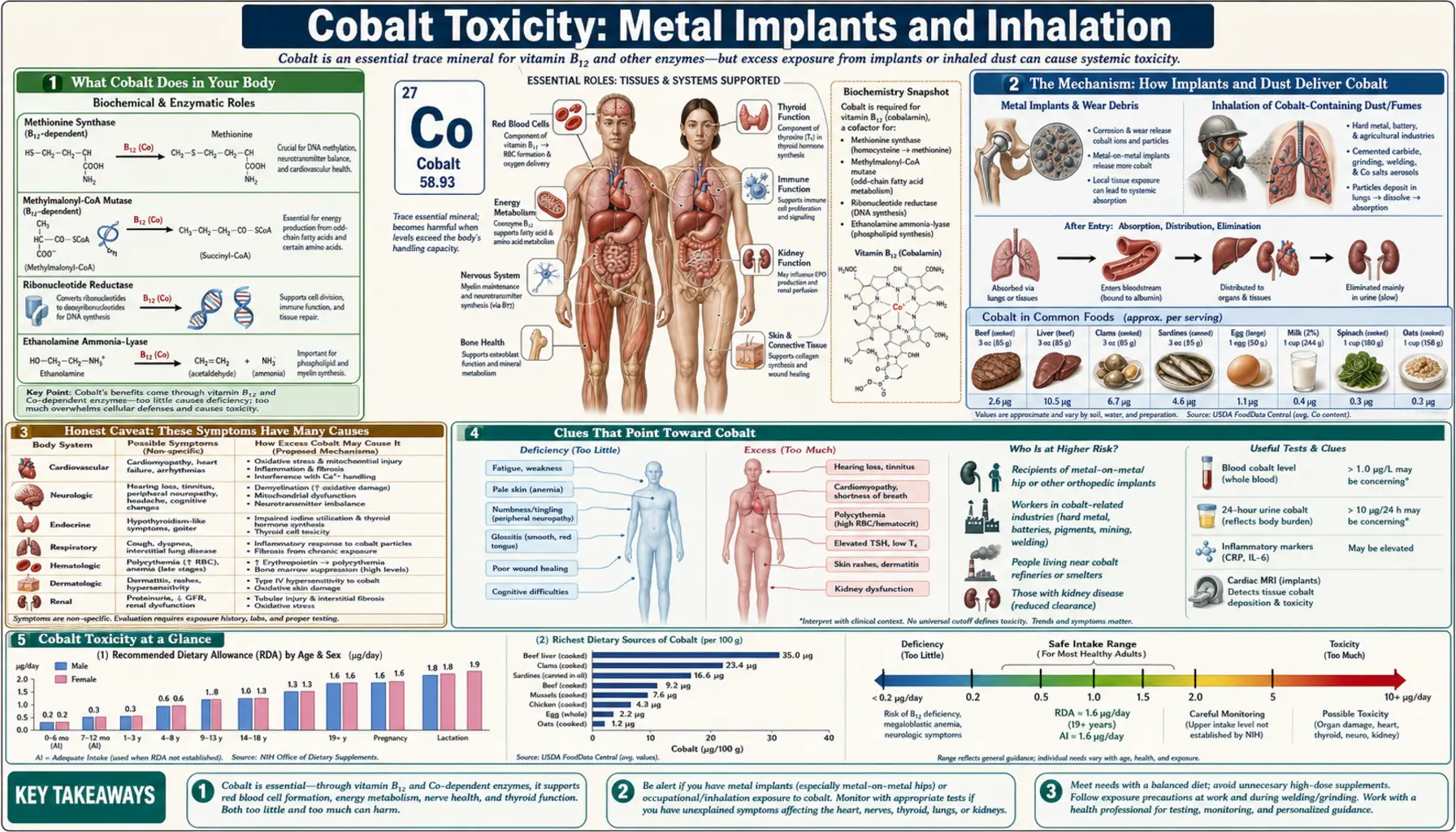 Metal Implants and Inhalation — scientific infographic poster