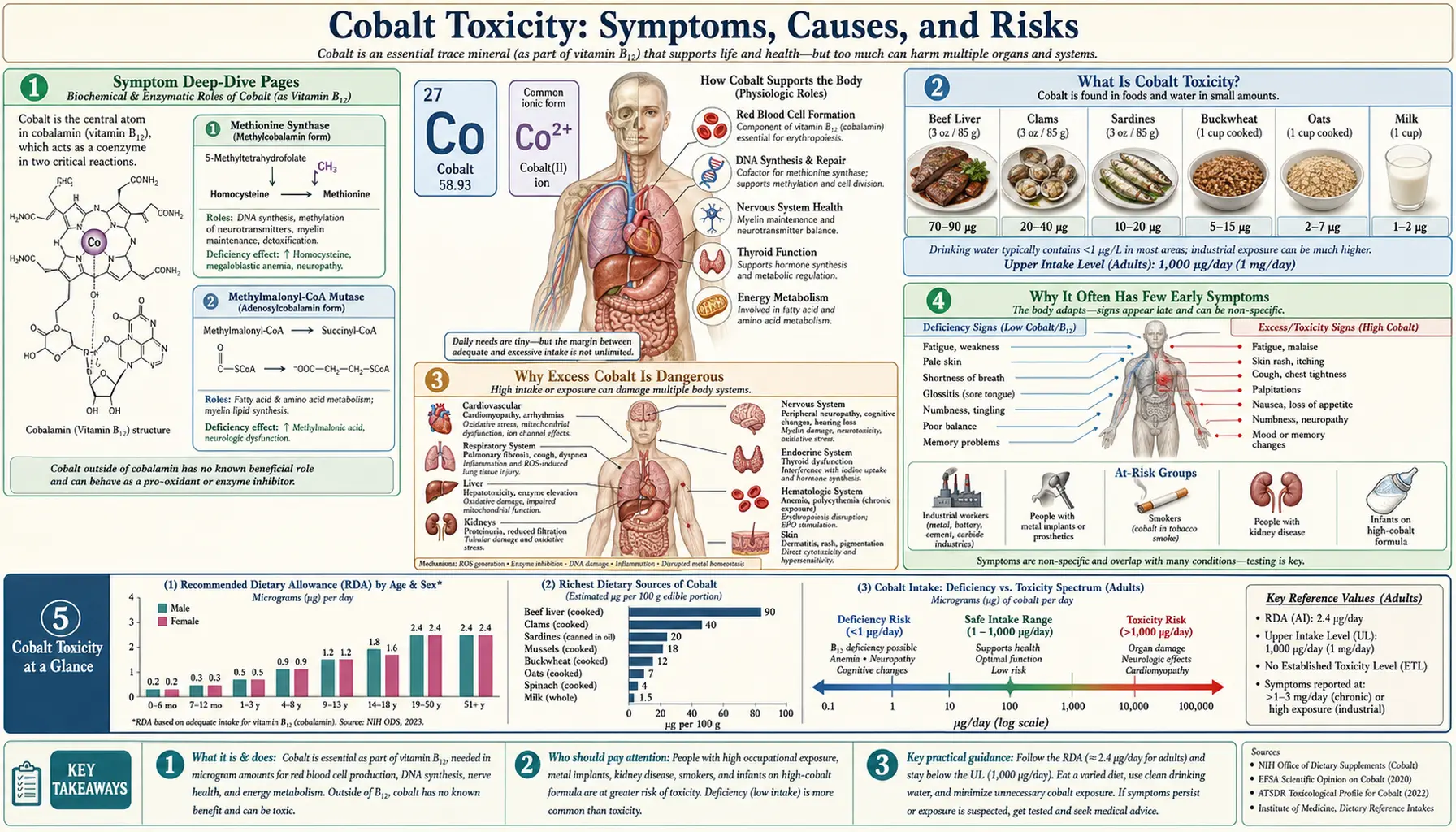 Toxicity — scientific infographic poster