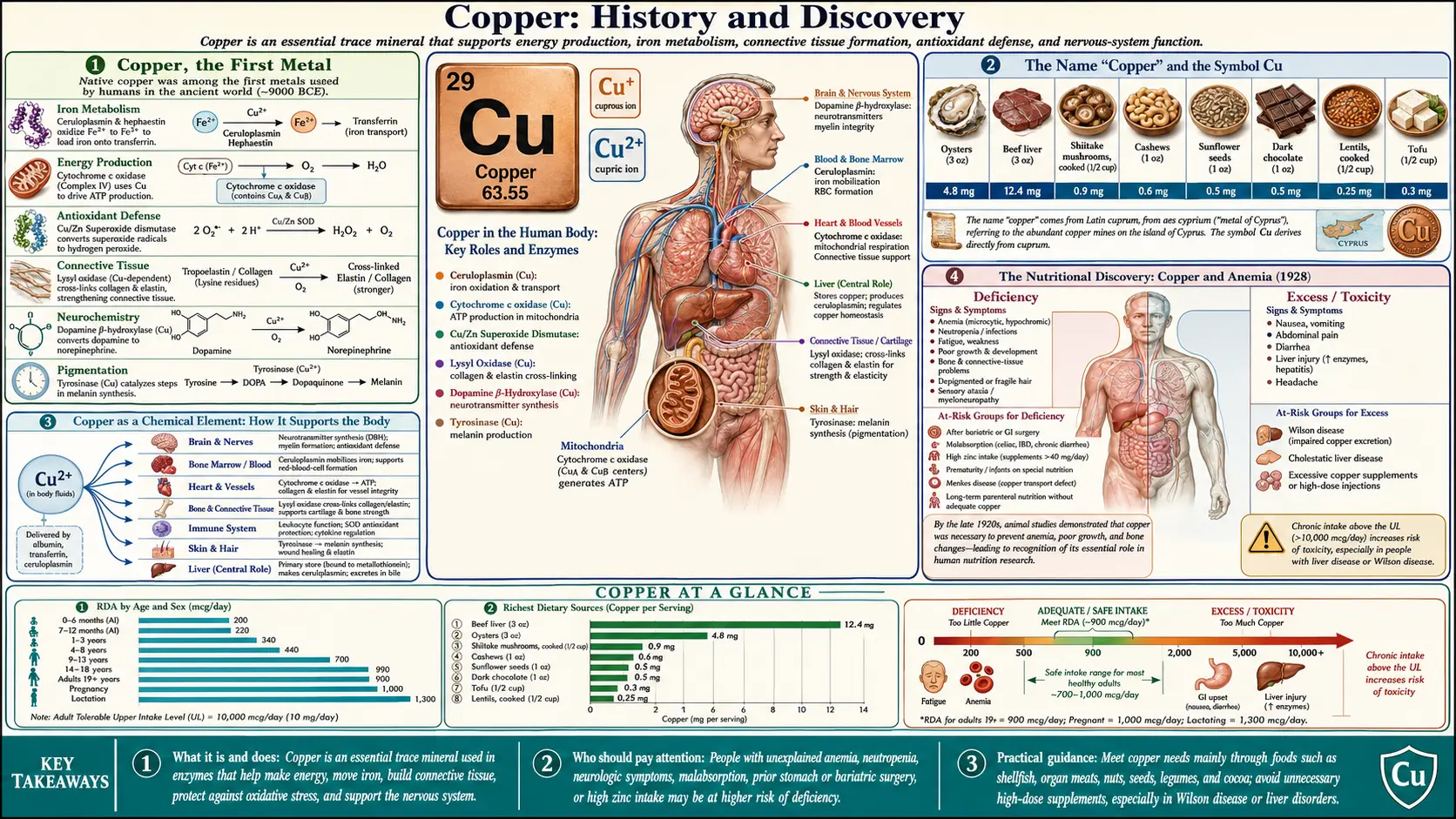History — scientific infographic poster