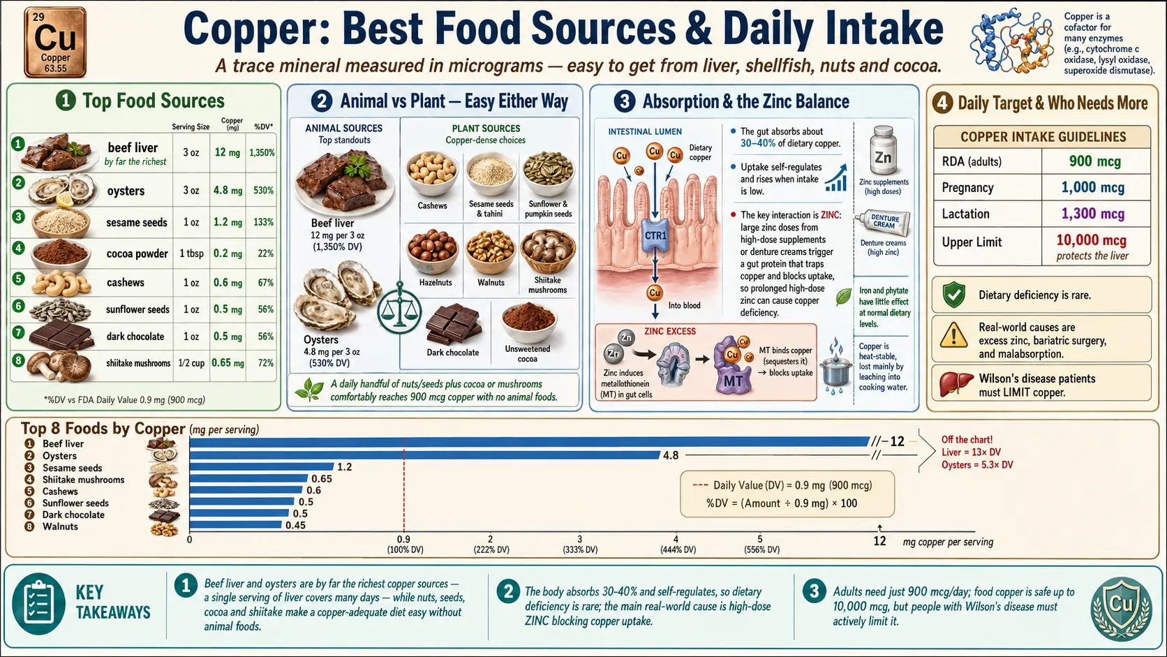 Sources — scientific infographic poster