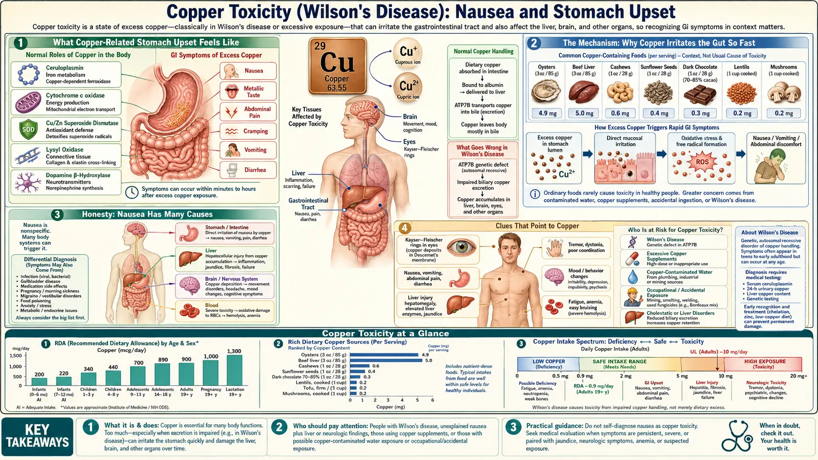 Nausea and Stomach Upset — scientific infographic poster