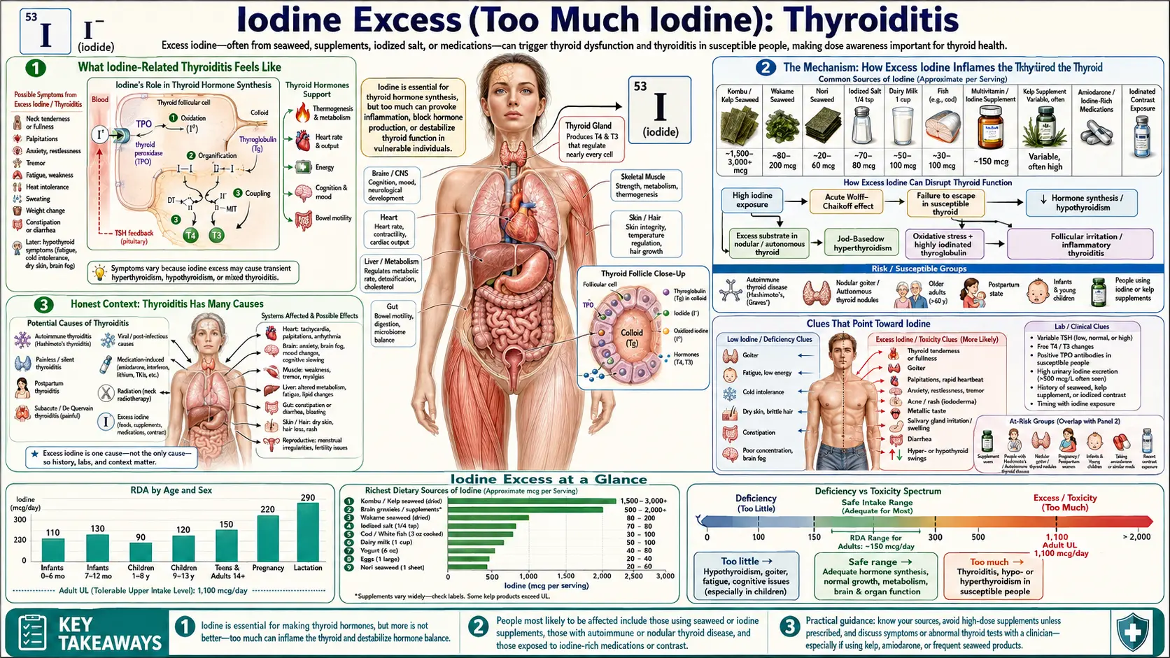 Thyroiditis — scientific infographic poster