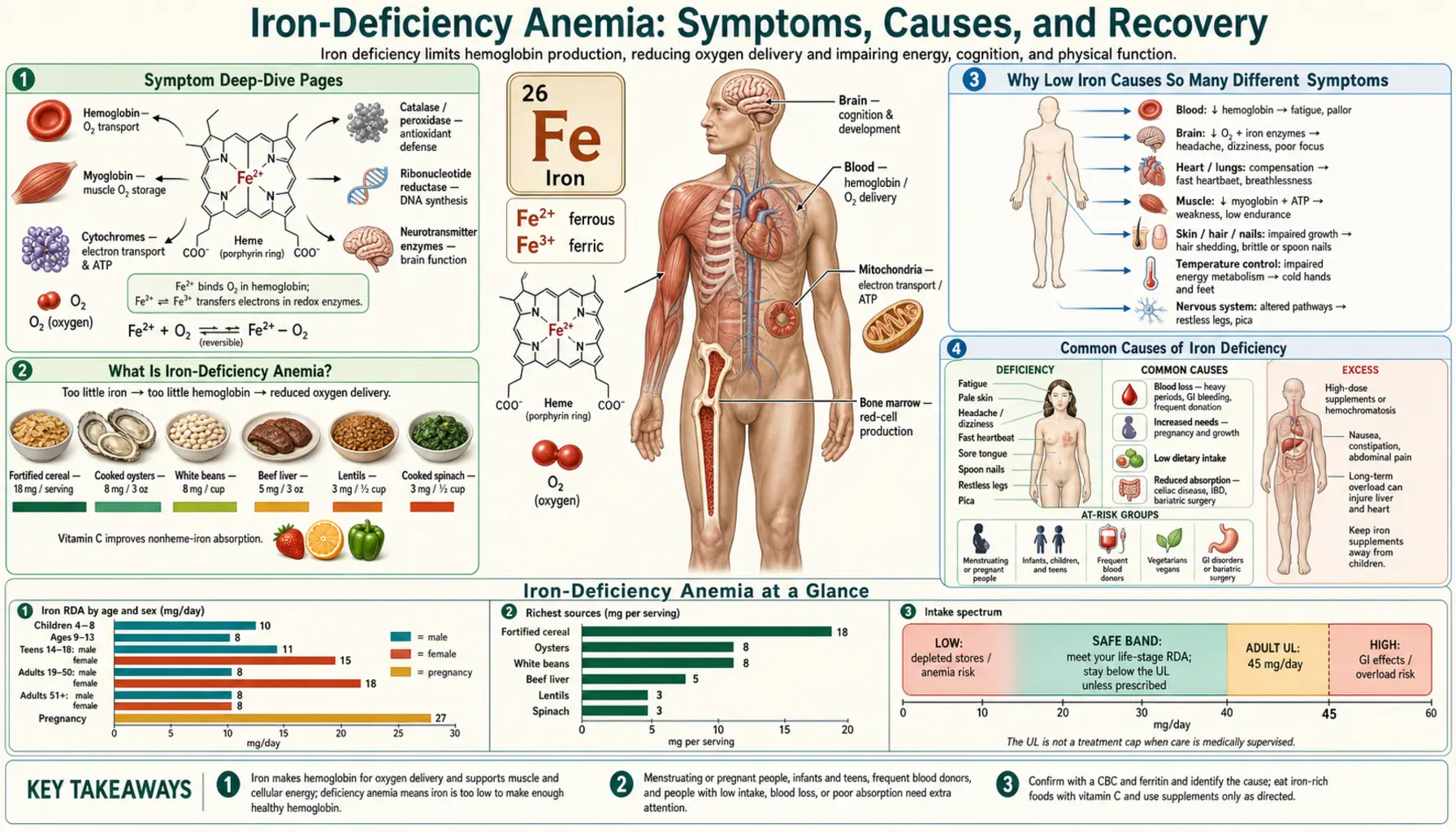Deficiency — scientific infographic poster