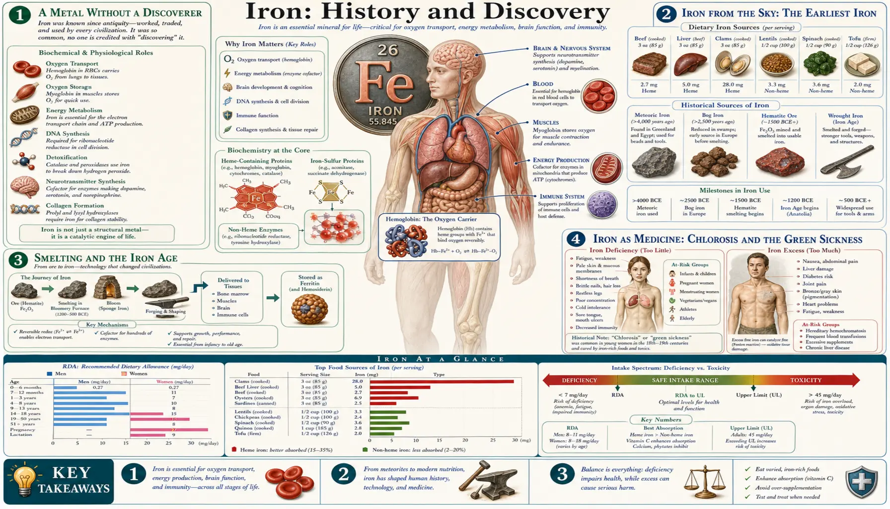 History — scientific infographic poster