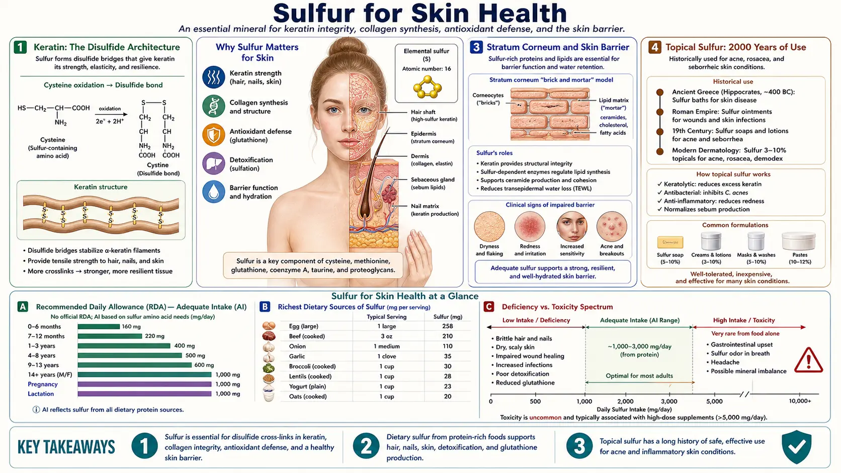 Skin Health — scientific infographic poster