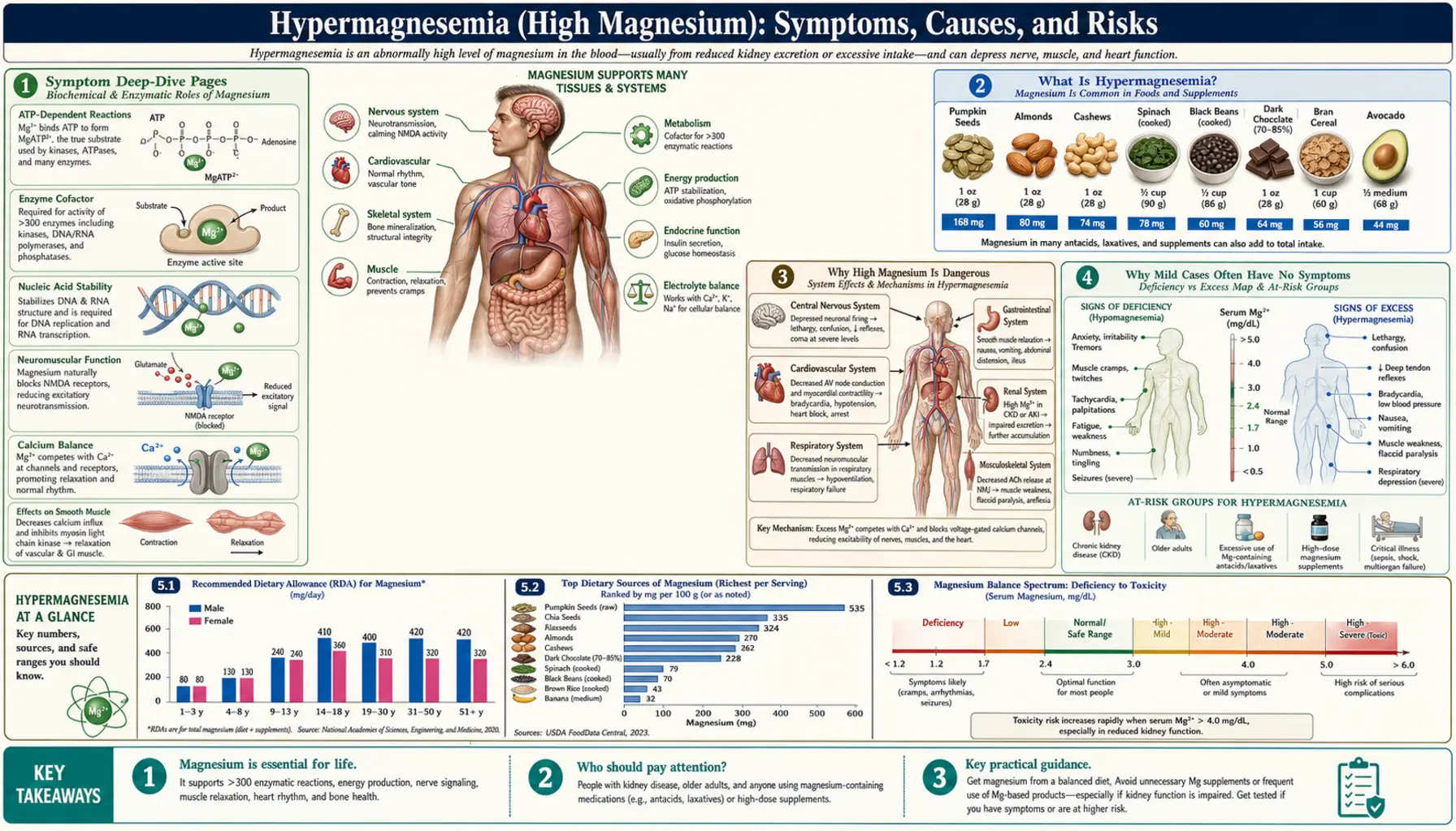 Toxicity — scientific infographic poster