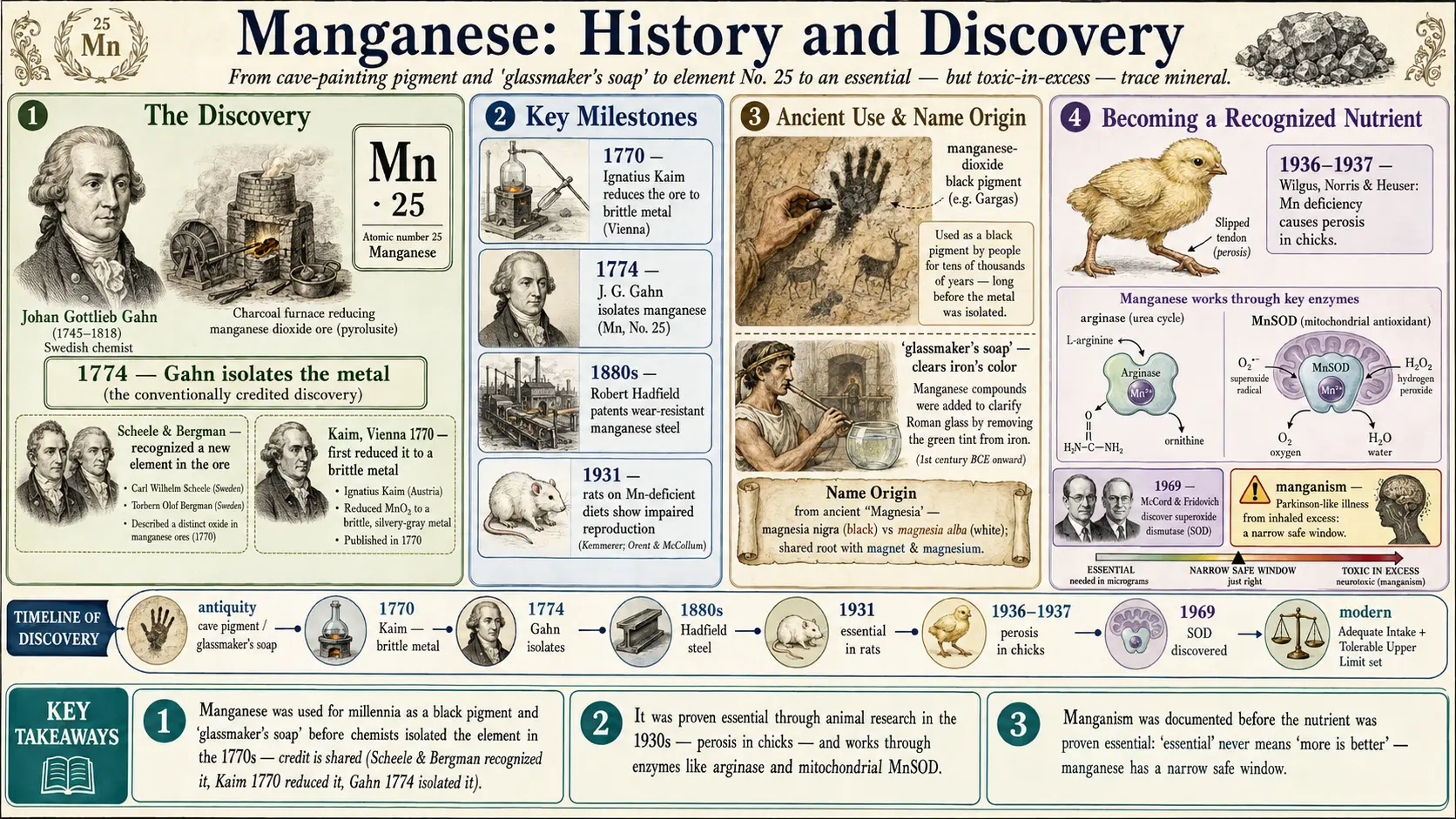 History — scientific infographic poster