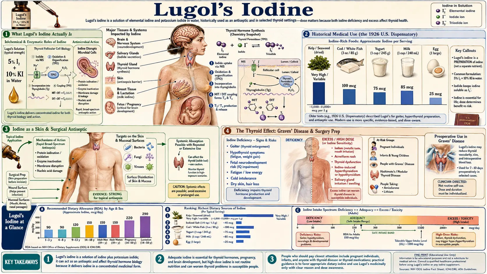 Lugols Iodine — scientific infographic poster