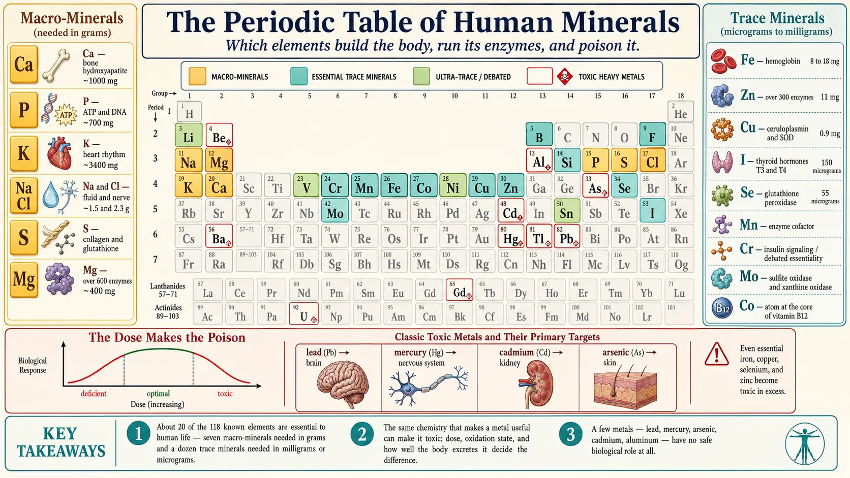 Minerals — scientific infographic poster