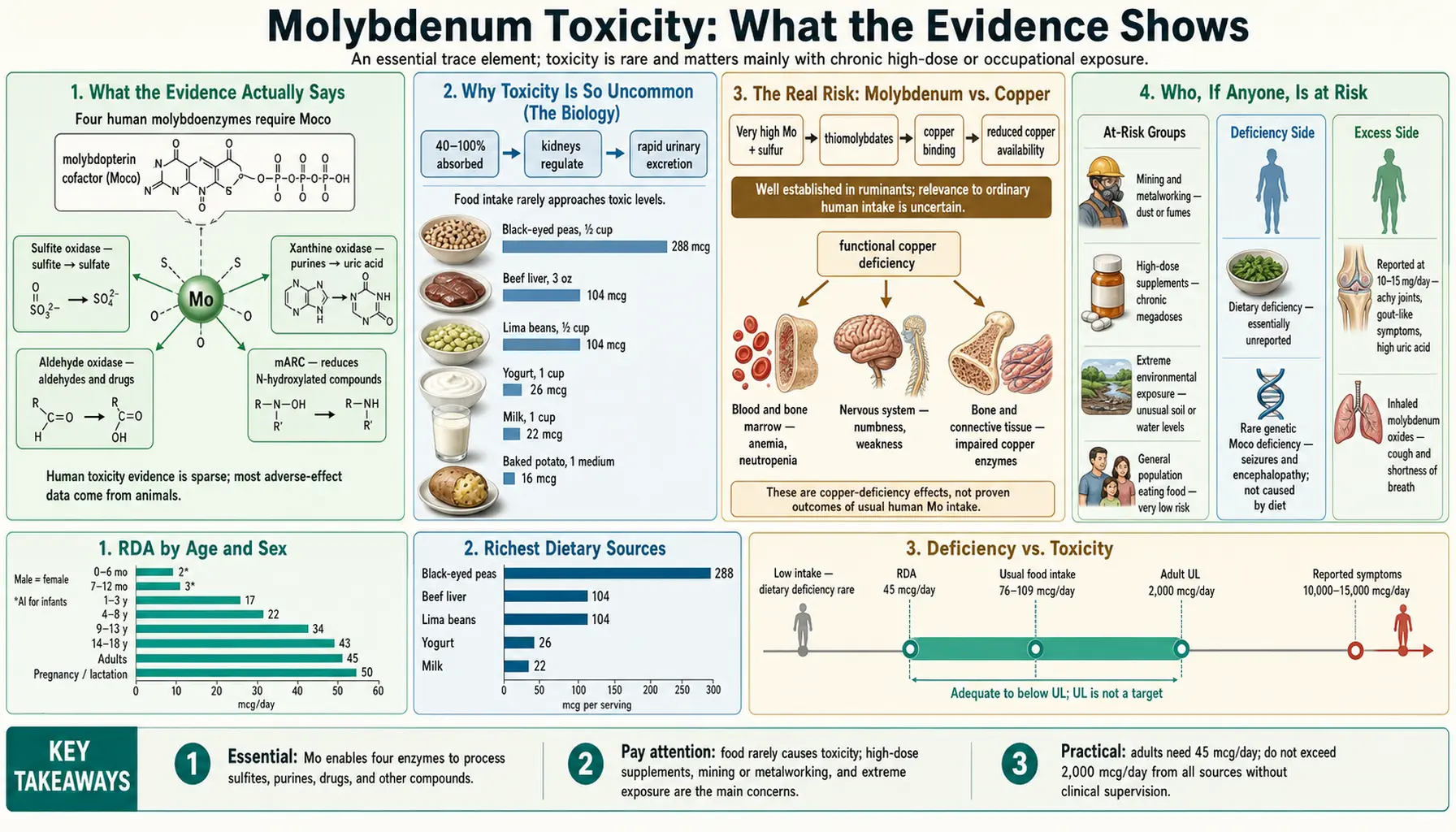 Toxicity — scientific infographic poster