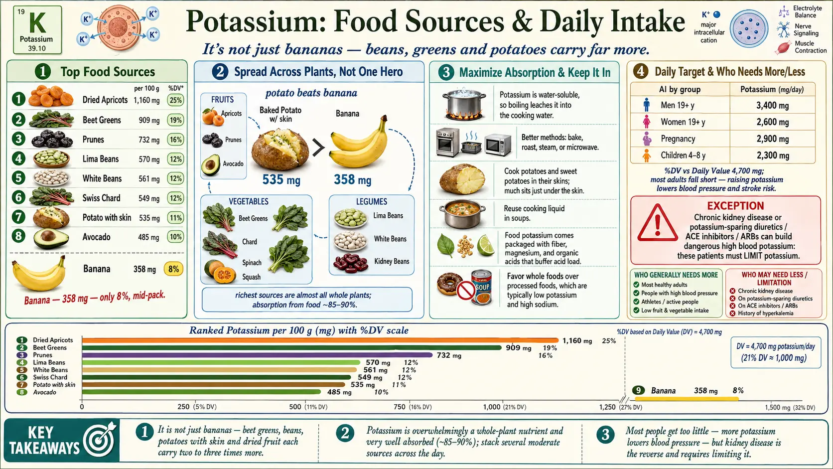 Sources — scientific infographic poster