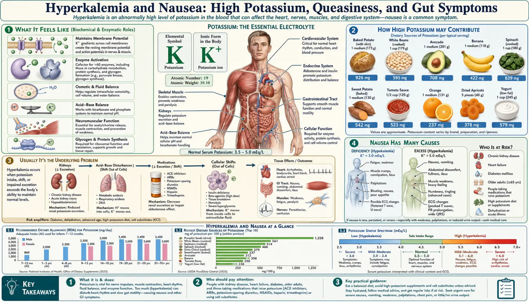 Nausea — scientific infographic poster