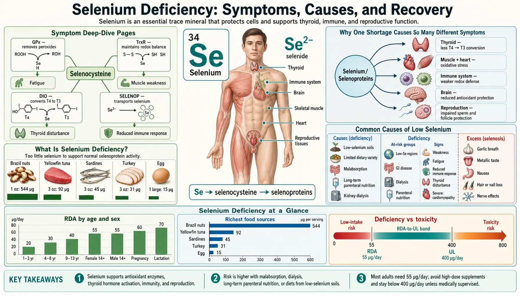 Deficiency — scientific infographic poster