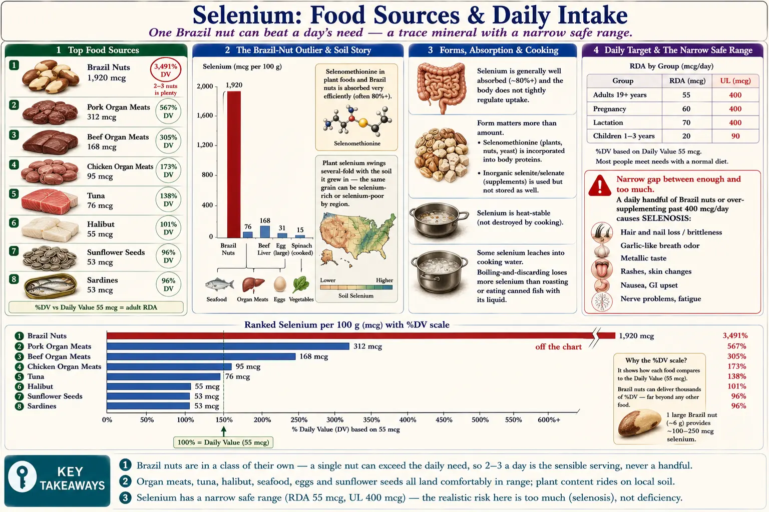 Sources — scientific infographic poster