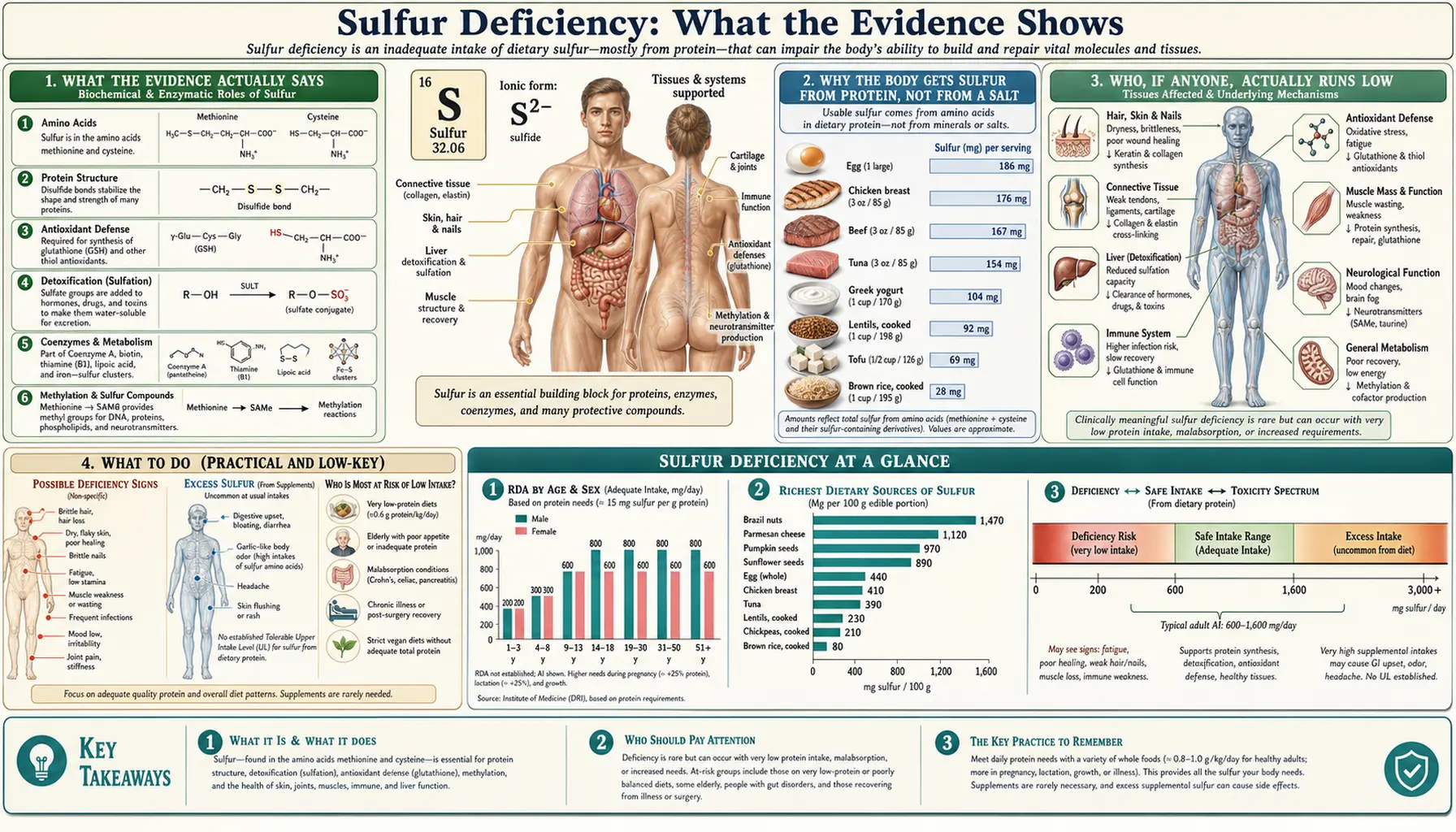 Deficiency — scientific infographic poster