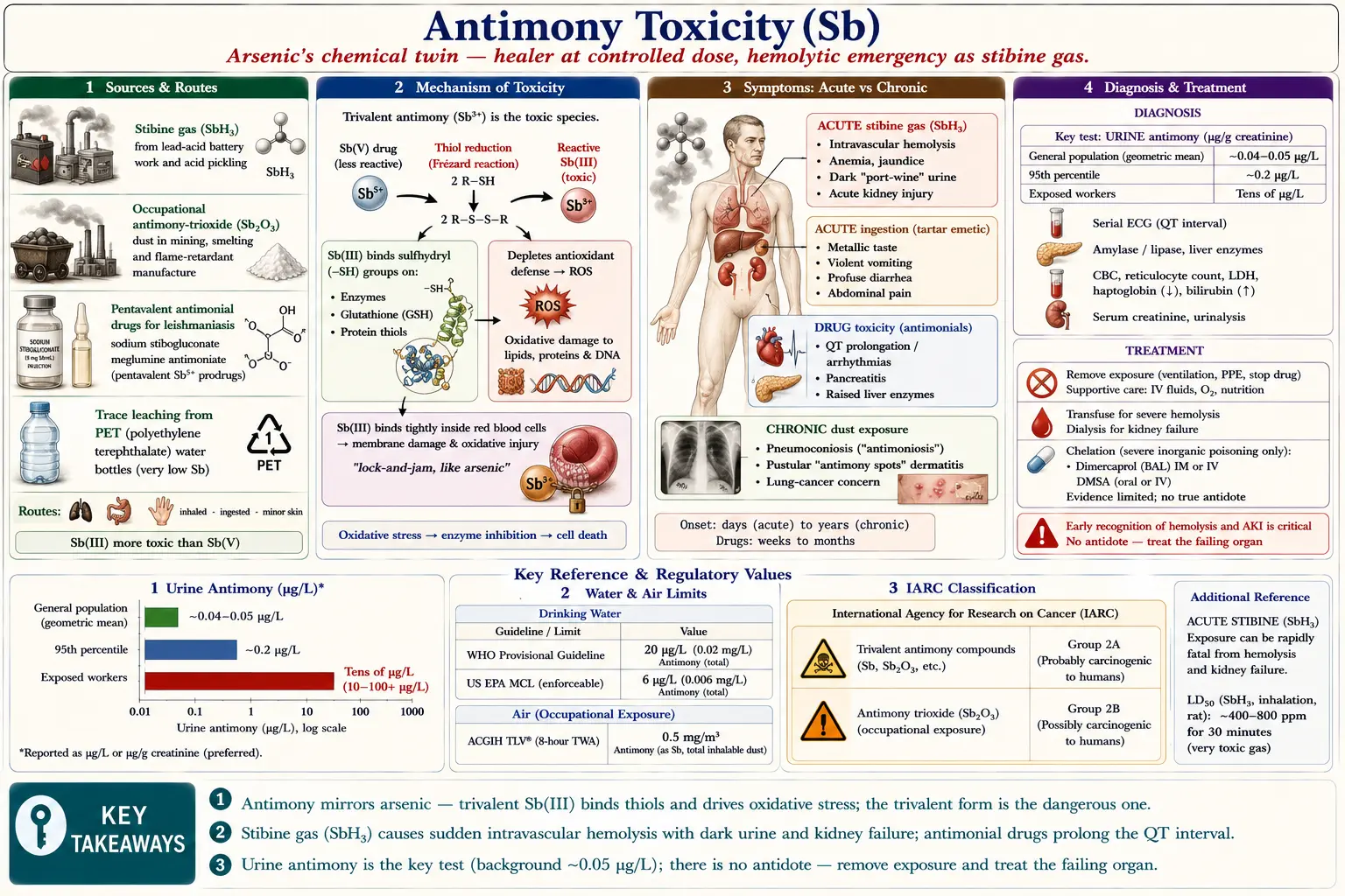 Antimony — scientific infographic poster
